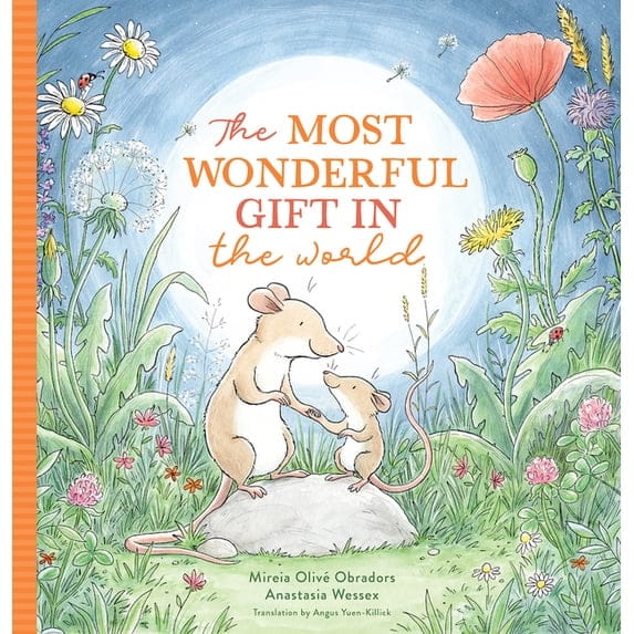 Abrams Hardcover Books The Most Wonderful Gift in the World