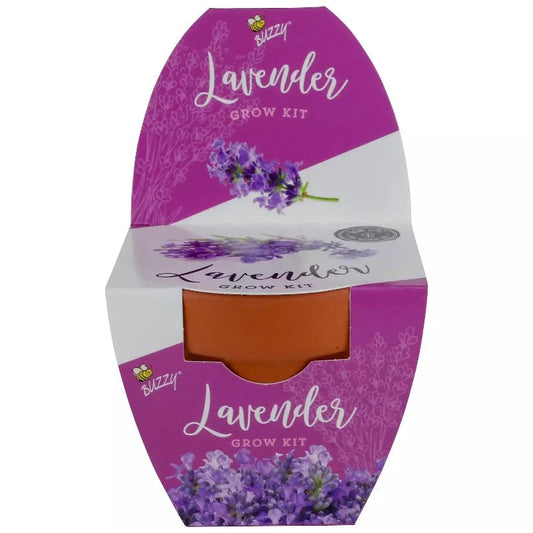 Buzzy Seeds Science & Nature Default Classic Terra Cotta Grow Kit Lavender