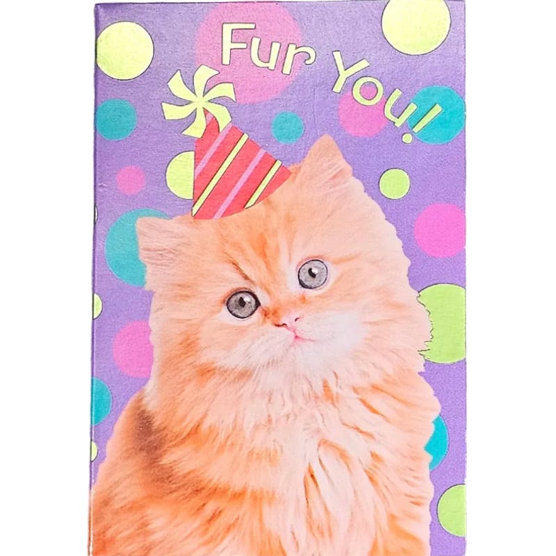 MindWare Mini Gift Enclosure Cards Fur You Cat Gift Enclosure