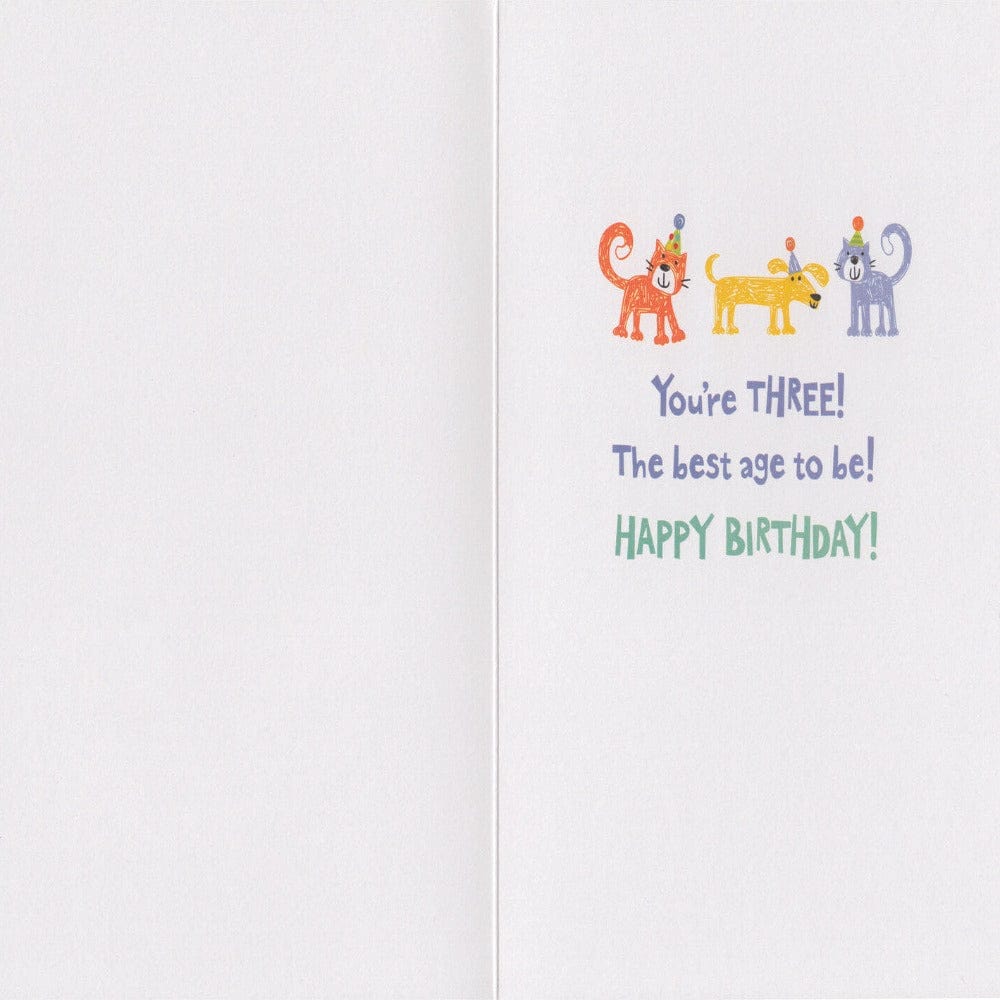 Peaceable Kingdom Gift Enclosure Cards Age 3 Foil Lettering Card