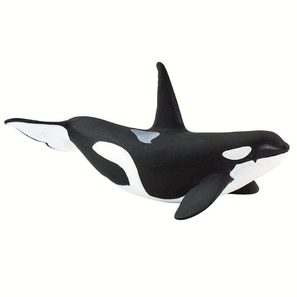 100232 Orca – Timeless Toys Chicago