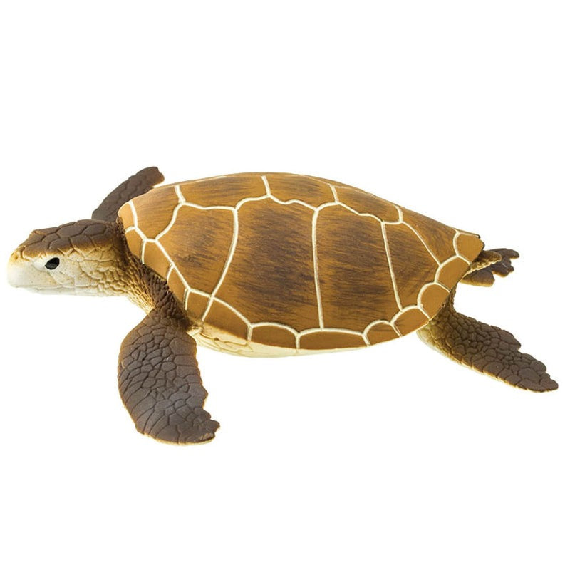 Safari Ltd Miniature Ocean Life 202329 Green Sea Turtle