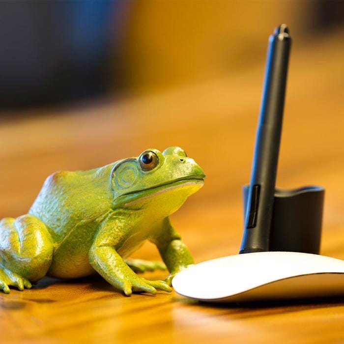 Safari Ltd Miniature Water Life 268729 American Bullfrog