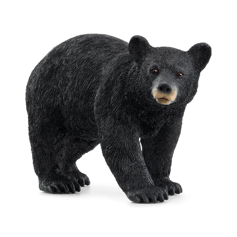 Schleich Miniature Woodland WildLife 14869 American Black Bear
