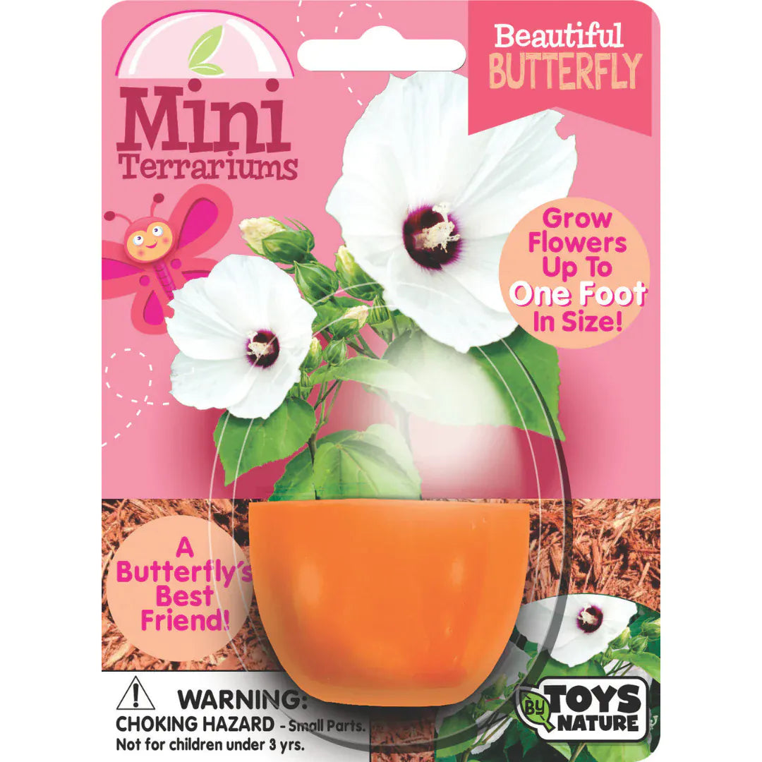 Silver Circle Plant Growing Kits Beautiful Butterfly Mini Terrarium