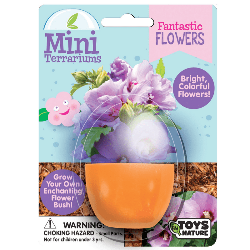 Silver Circle Plant Growing Kits HOLIDAY Fantastic Flowers Mini Terrarium