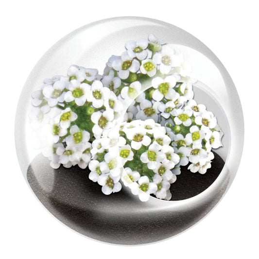 Unique Gardener Garden Toys Tiny Terrarium Flowers (Assorted Styles)