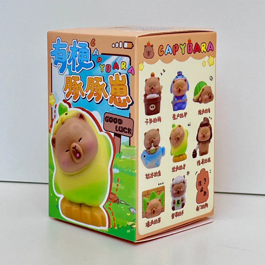 BCmini Blind Box Capybara Park Blind Box
