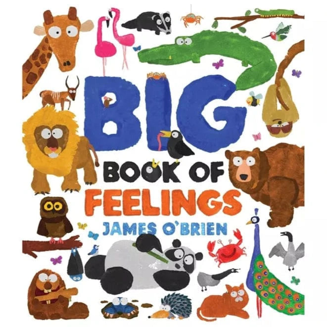 Boxer Books Hardcover Books Big Book of Feelings