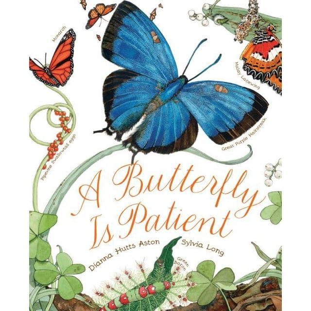 Chronicle Books Paperback Books Default Butterfly Is Patient