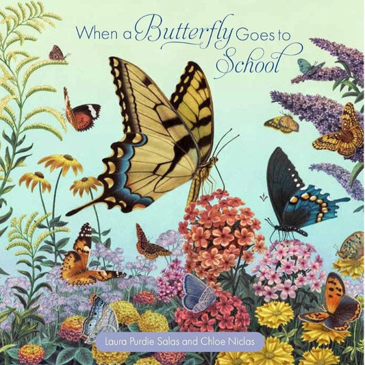 Creative Editions Board Books When a Butterfly Goes to School (Board book)