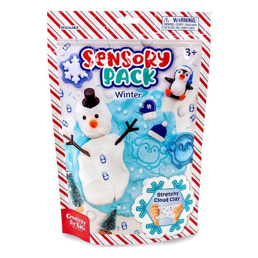 Creativity for Kids Art & Craft Activity Kits HOLIDAY Sensory Pack Winter