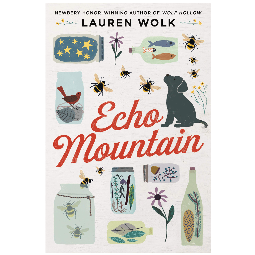 Dutton Books Hardcover Books Echo Mountain