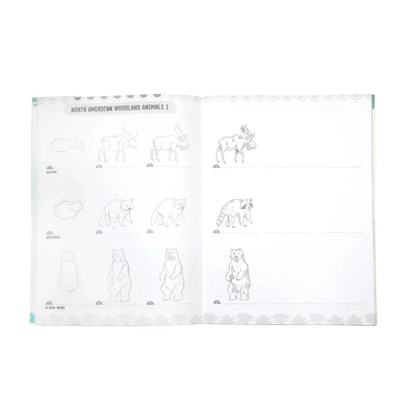 eeBoo Activity Books Default Learn to Draw Wild Animals (Needs UPC)