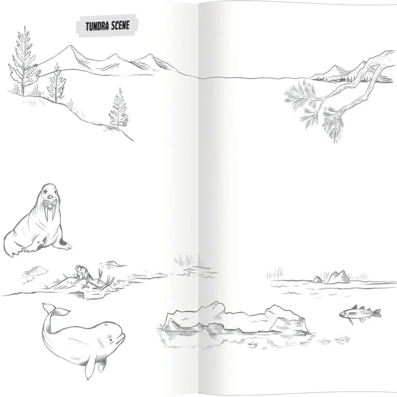 eeBoo Activity Books Default Learn to Draw Wild Animals (Needs UPC)