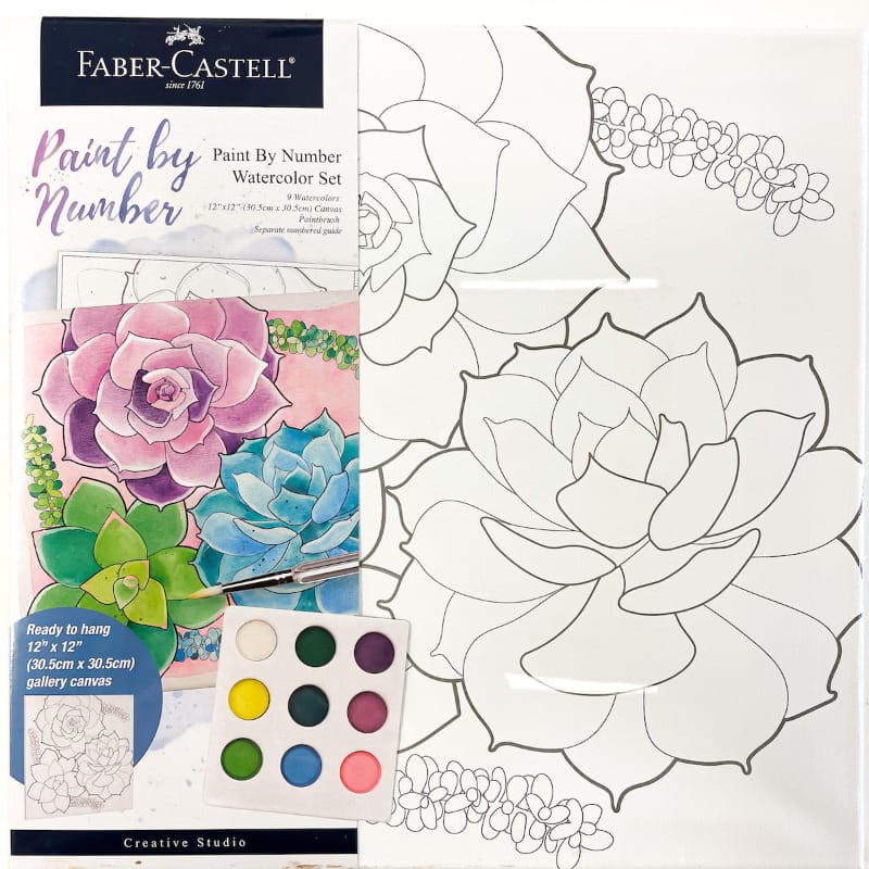 Faber-Castell Coloring & Painting Kits Watercolor Paint by Number: Succulents