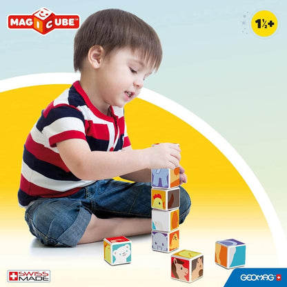 Geomagworld Construction Magicube Fruits Set