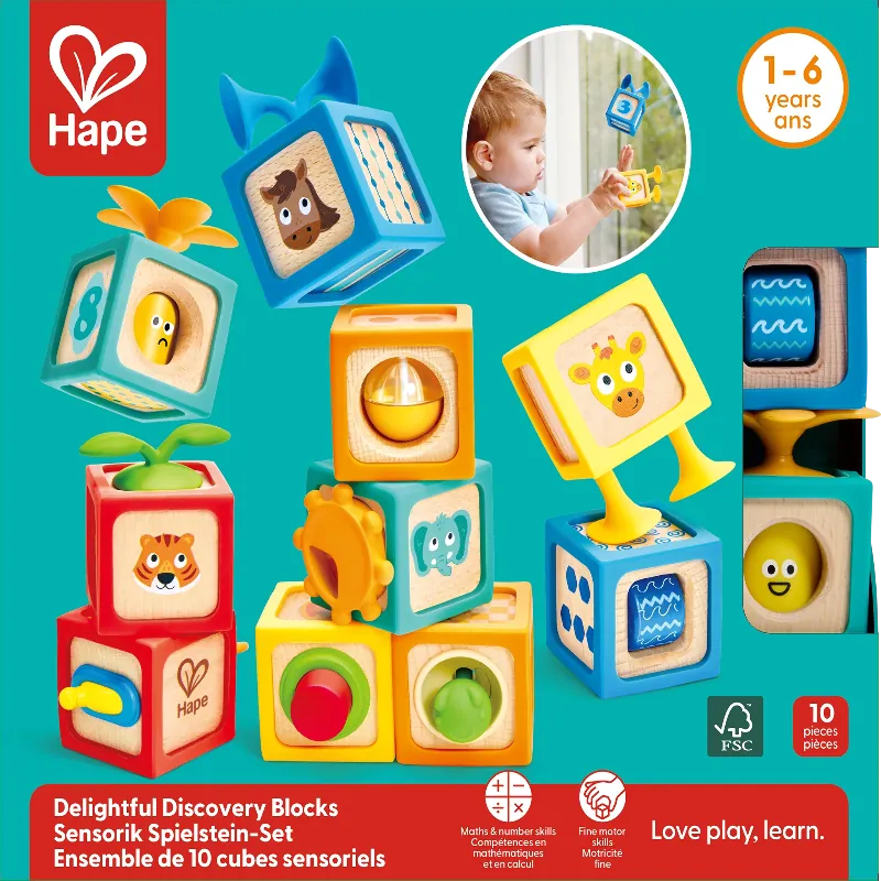Hape Block Sets Delightful Discovery Blocks