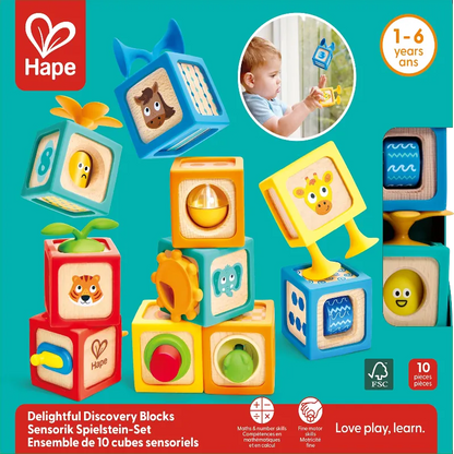Hape Block Sets Delightful Discovery Blocks