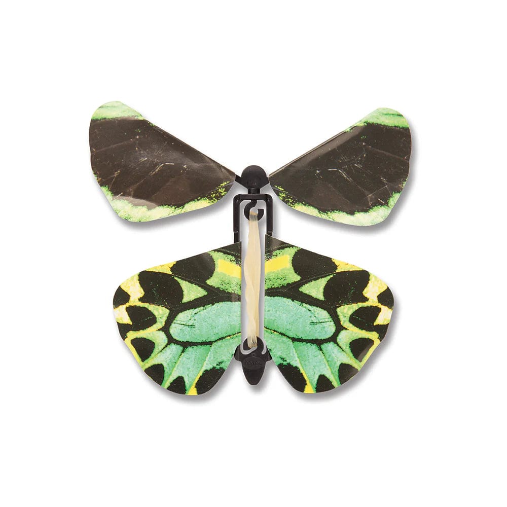 Heebie Jeebies Default Default Wind-Up Butterflies (Assorted Styles)