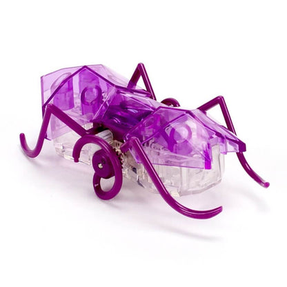 HexBug Robot Kits Default HexBug - Micro Ant (Assorted Colors)
