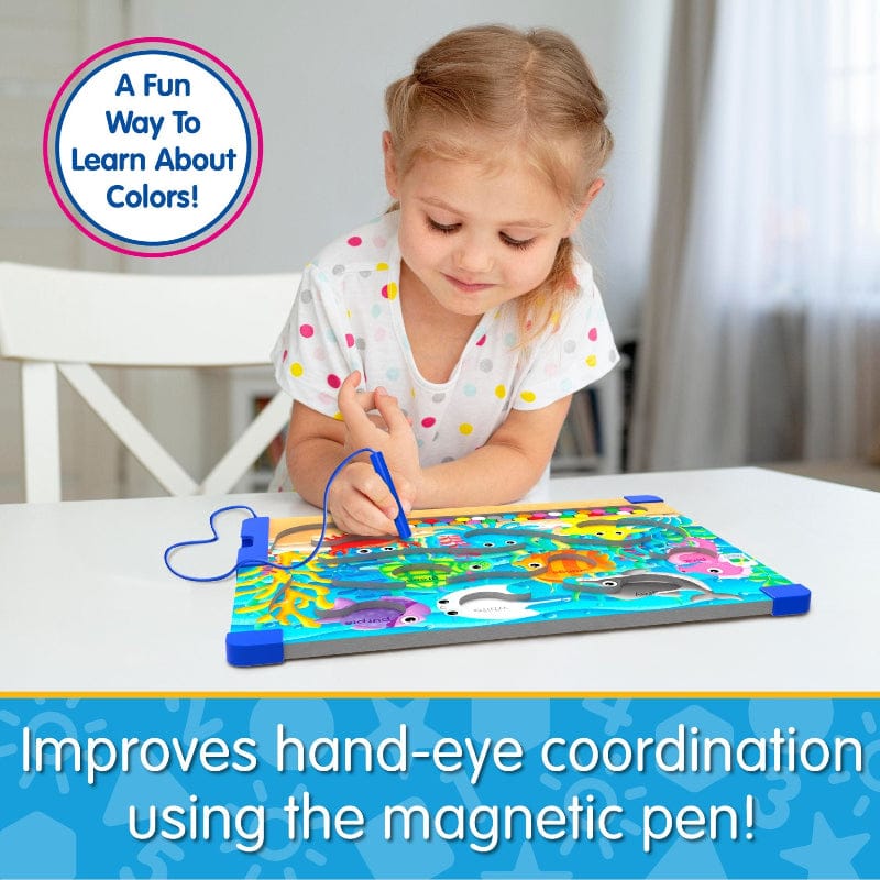 Learning Journey Educational Play Sort & Learn Magnetic Puzzle - Colors