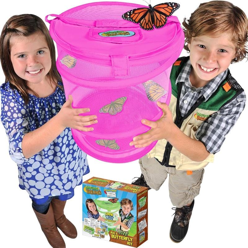 Nature Bound Science & Nature Default Butterfly Growing Habitat (Pink)