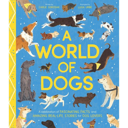 Nosy Crow Hardcover Books Default A World of Dogs