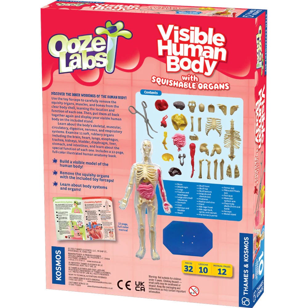 Ooze Labs STEM Toys Default Ooze Labs: Visible Human Body with Squishable Organs