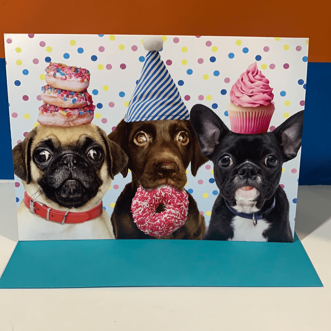 Peaceable Kingdom Gift Enclosure Cards Celebrating Dogs Birthday Card