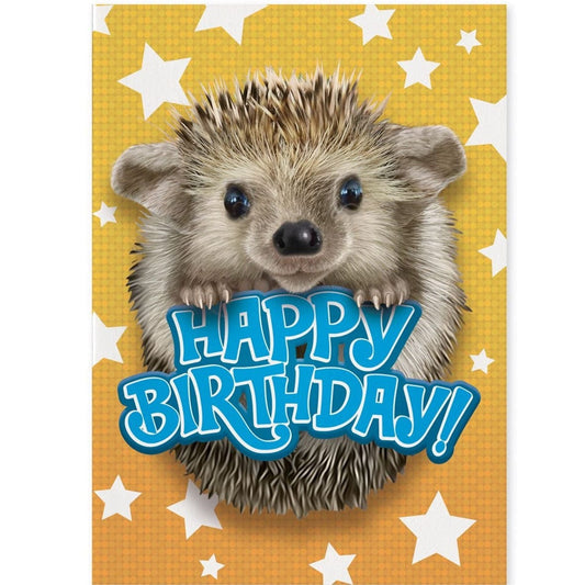 Peaceable Kingdom Gift Enclosure Cards Hedgehog Foil Photo Card