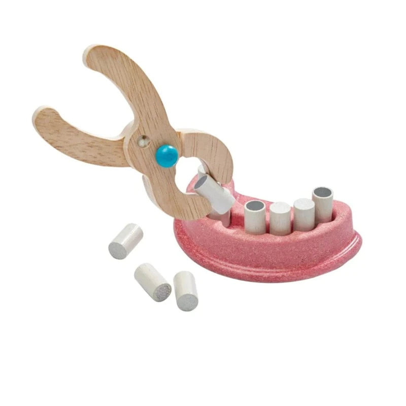Plan Toys Pretend Play Dentist Set