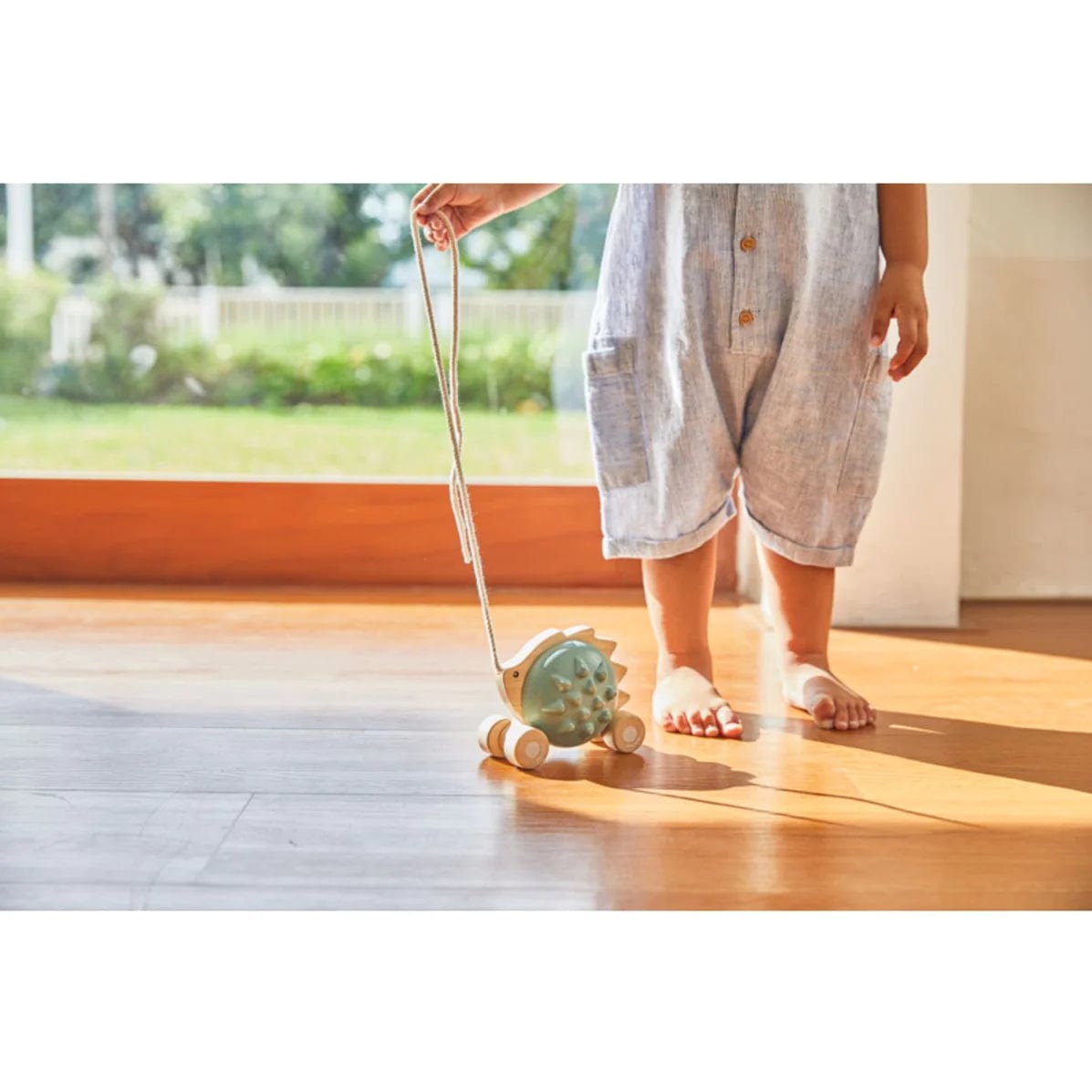 Plan Toys Pull-Along Toys Default Pull Along Hedgehog (Blue)