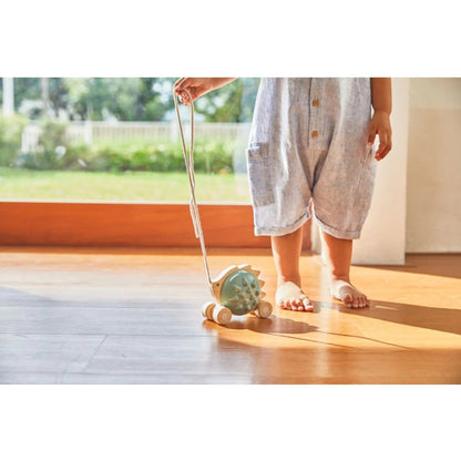 Plan Toys Pull-Along Toys Default Pull Along Hedgehog (Blue)