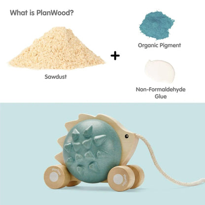 Plan Toys Pull-Along Toys Default Pull Along Hedgehog (Blue)
