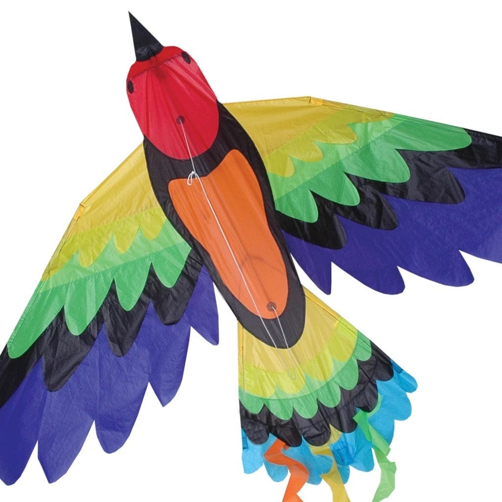 Premier Kites Kites Rainbow Bird Kite