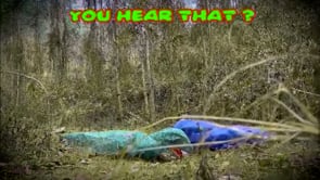 Giant Inflatable RC Dinosaur (Assorted Colors)