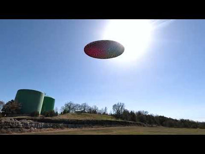 Big Wing Flying Disc (Assorted Styles)