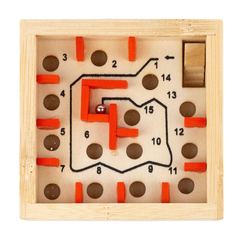 Project Genius Brain Teaser Games The Great Coral Maze Puzzle