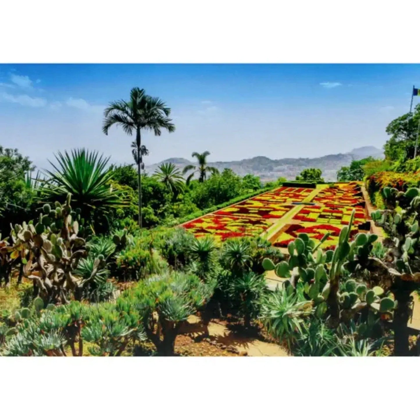 Ravensburger 1000 Piece Puzzles Default Botanical Garden, Madeira, Portugal 1000 Piece Puzzle