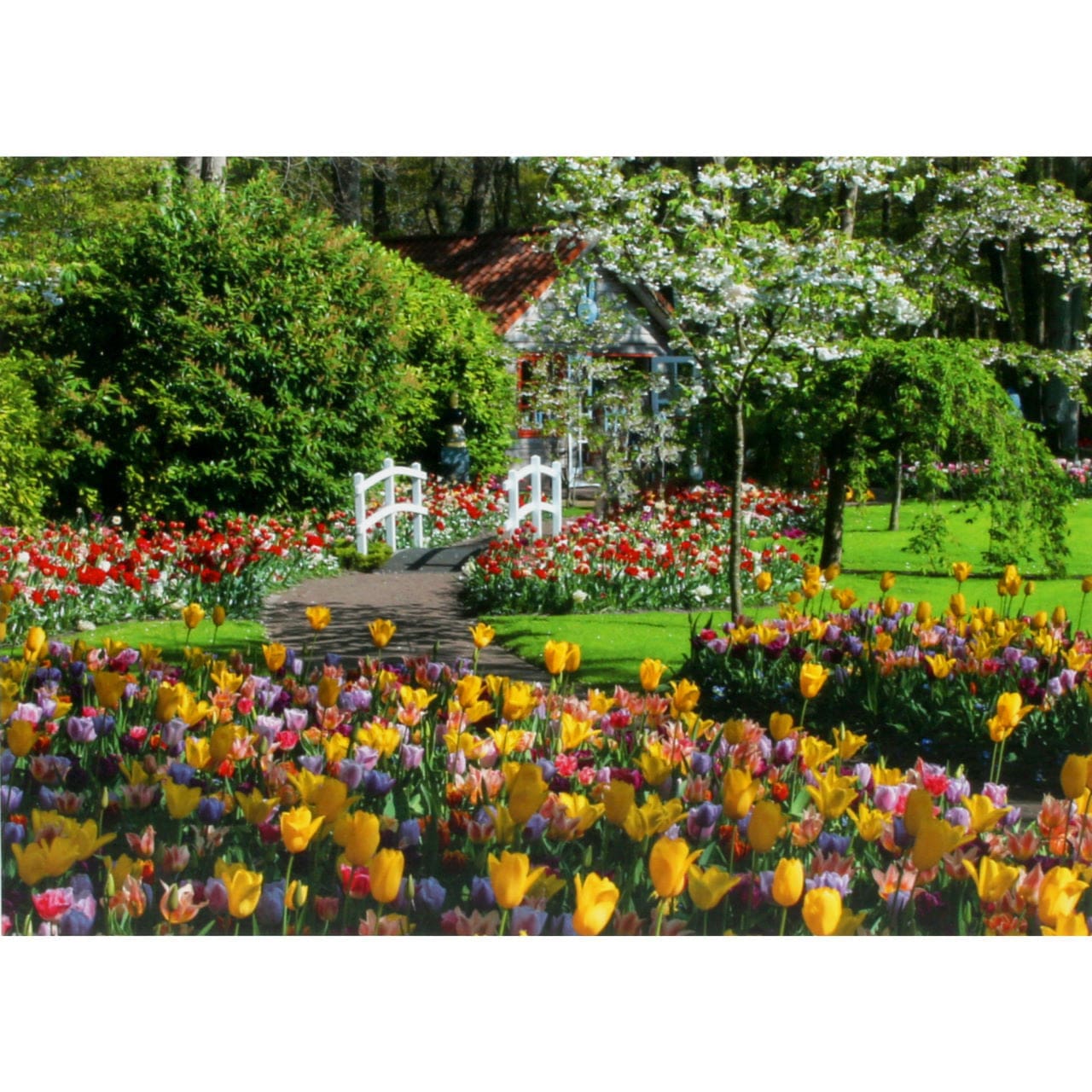 Ravensburger 1000 Piece Puzzles Default Keukenhof Gardens, Netherlands 1000 Piece Puzzle