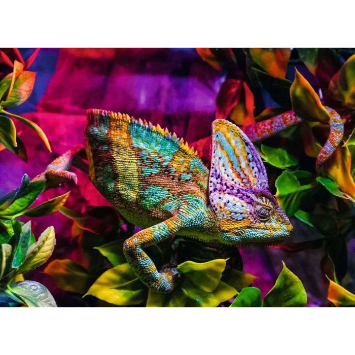 Ravensburger 500 Piece Puzzles Chameleon 500 Piece Puzzle