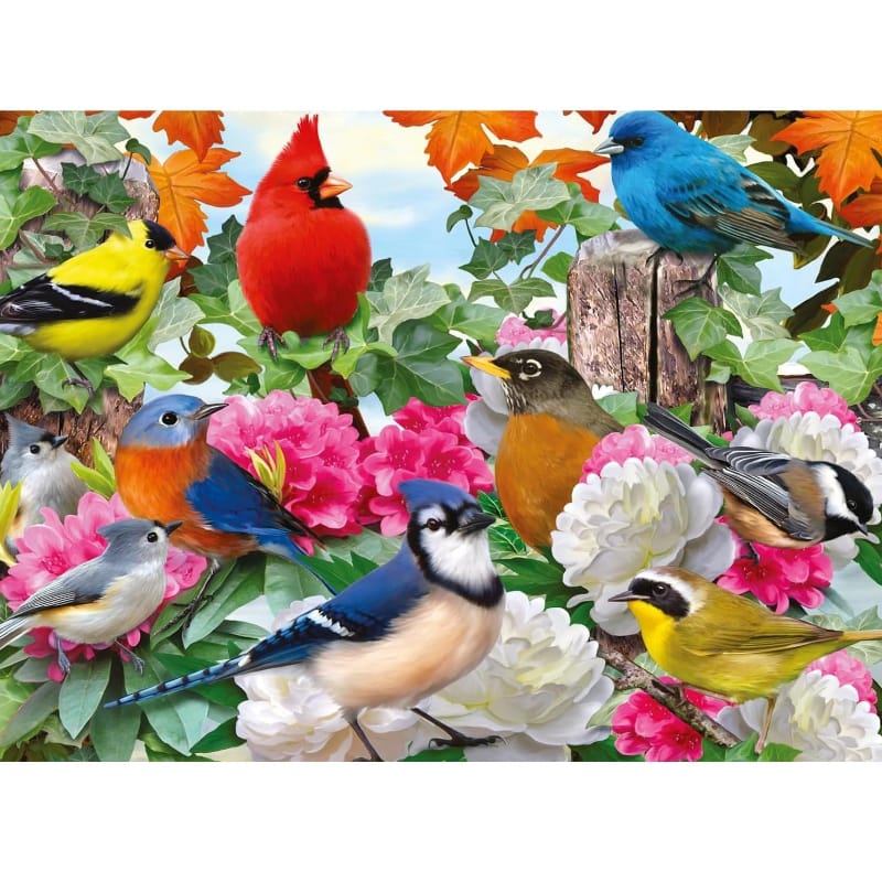 Ravensburger 500 Piece Puzzles Garden Birds 500 Piece Puzzle