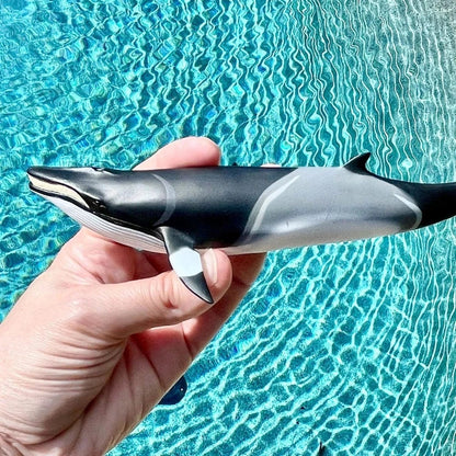 Safari Ltd Miniature Ocean Life 100413 Minke Whale