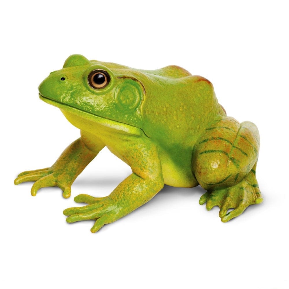 Safari Ltd Miniature Water Life 268729 American Bullfrog
