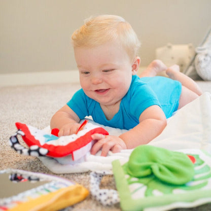 Sassy Infant Sensory Toys Sensory Activity Panels