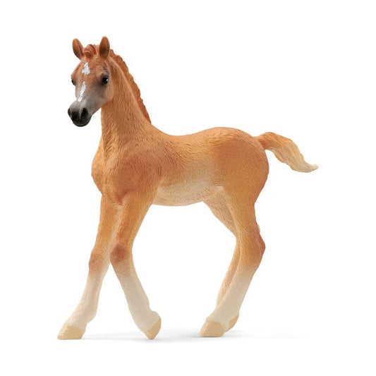 Schleich Miniature Horses Default 13984 Arabian Foal