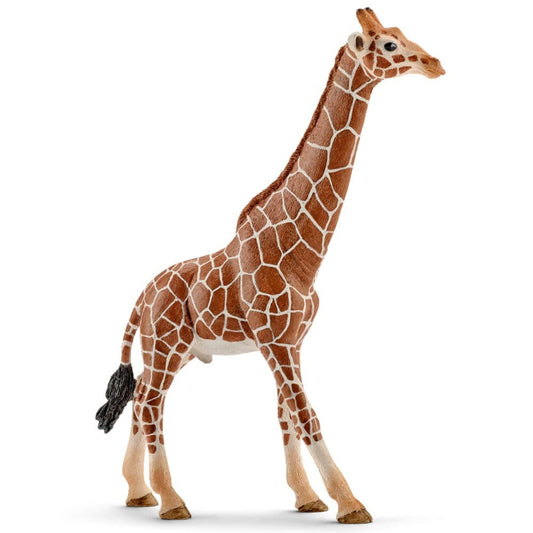 Schleich Miniature WildLife 14749 Giraffe, Male