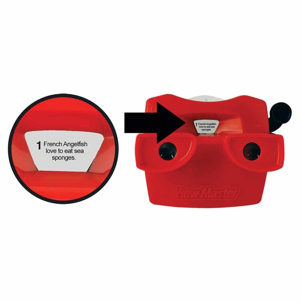 View Master Classic Deluxe Edition with Discovery Kids Reels Metallic Viewer, Storage Case, and 5 Reels Included Exclusive