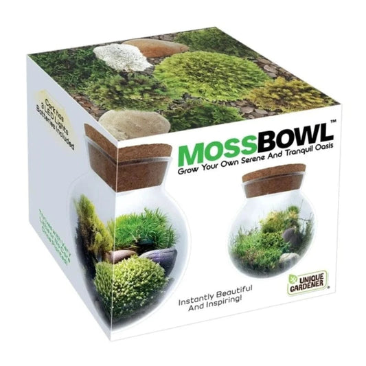Silver Circle Plant Growing Kits HOLIDAY MossBowl